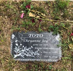 Cheyanne Joy Toto 