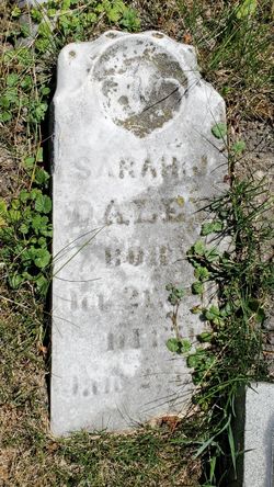 Sarah J Daley 