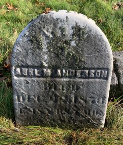 Abel M. Anderson 