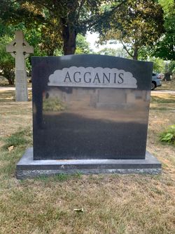 William T. Agganis 