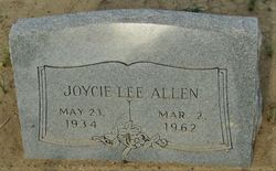Joyce Lee Allen 