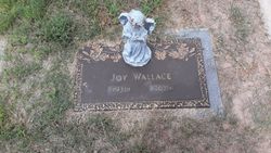 Joy Wallace 