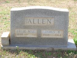 Lillie Mae <I>Beeks</I> Allen 