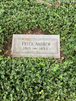 Peter Andrew 