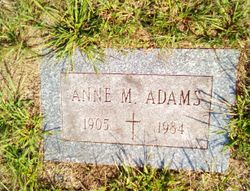 Anne M Adams 