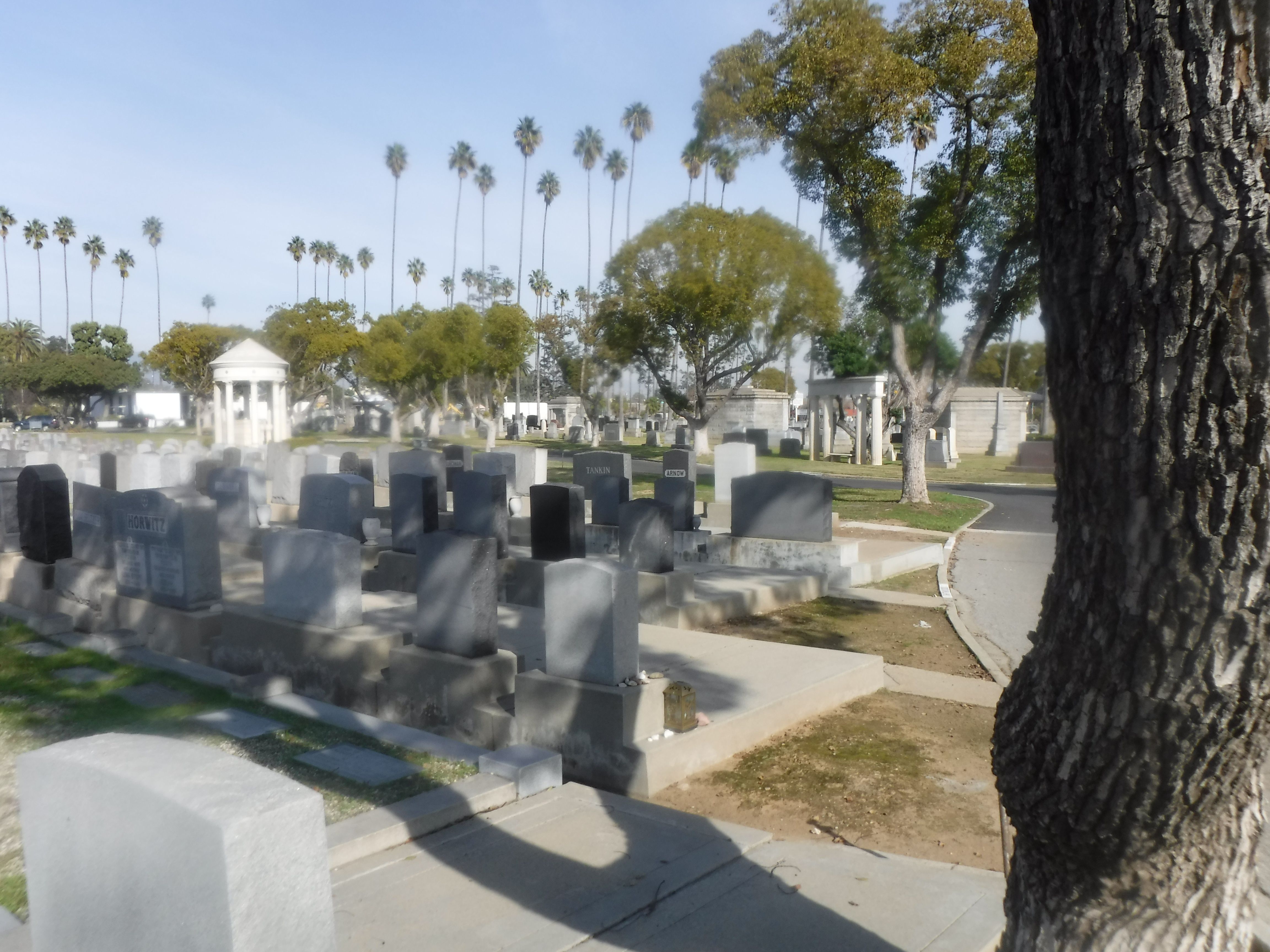Mount Olive Memorial Park in Los Angeles, California - Find a Grave ...