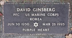 David Ginsberg 