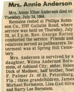 Annie Elise <I>Palmer</I> Anderson 