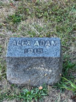 Alex Adam 