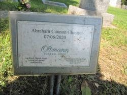 Abraham Cannon Chesnut 