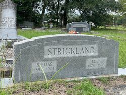 Stephen Elias Strickland 