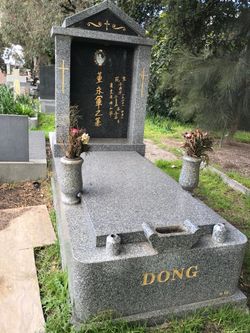 Dong 