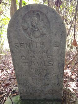 Senith E. Davis 