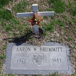 Aaron W Brummitt 