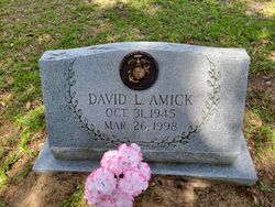 David Lewie Amick Sr.