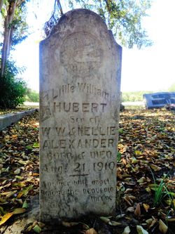 William Hubert Alexander 