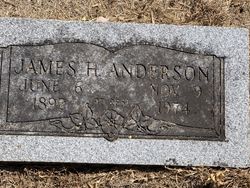 James Henry Anderson 