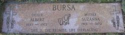 Albert Bursa 