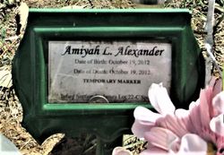 Amiyah L Alexander 