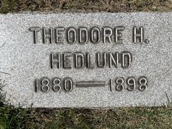 Theodore H Hedlund 