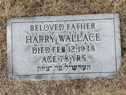 Harry Wallace 