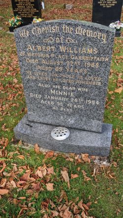 Albert Williams 