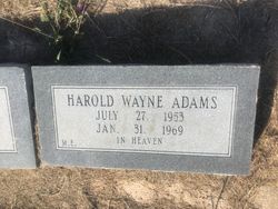 Harold Wayne Adams 