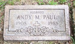 Andy M Paul 