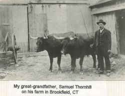 Samuel Thornhill 