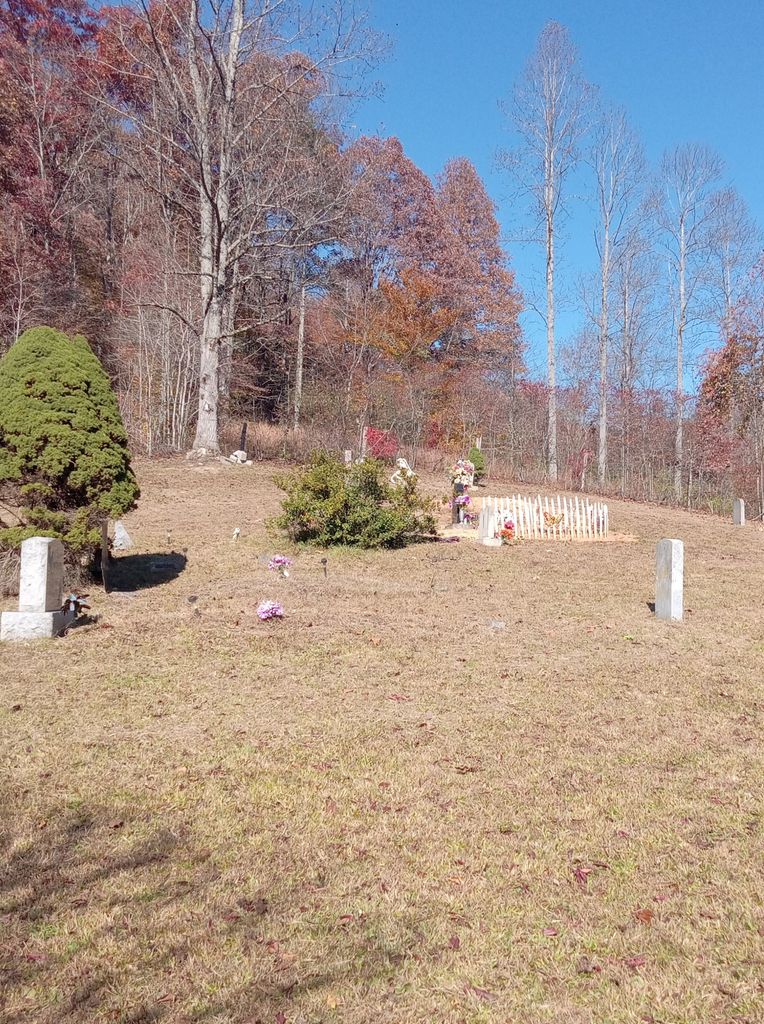 Wirt Mcginnis Family Cemetery