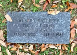 Albert B Cubitt 