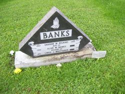 Alan W Banks 