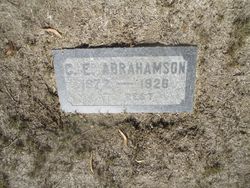 C E Abrahamson 