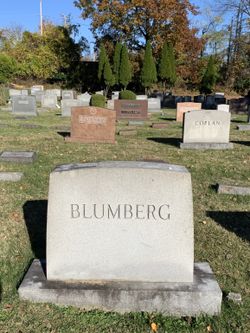 Alexander “Alex” Blumberg 