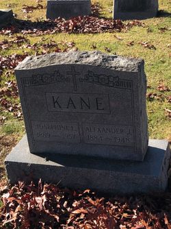 Alexander J Kane 