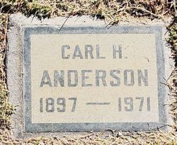 Carl Holm Anderson Jr.
