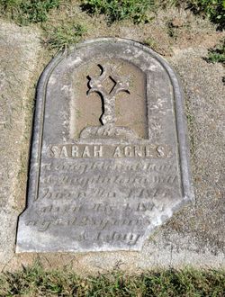 Sarah Agnes Will 
