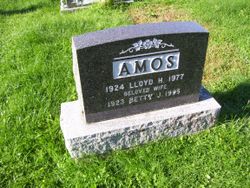 Lloyd H Amos 