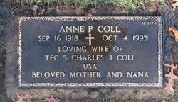 Anne P Coll 