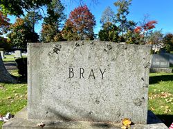 Bray 