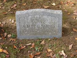 Albert G Barnes 