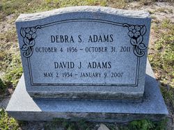 David J Adams 
