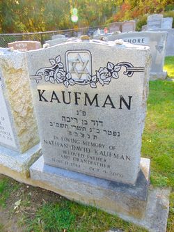 Nathan David Kaufman 