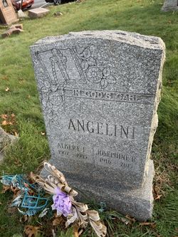 Albert Francis Angelini 