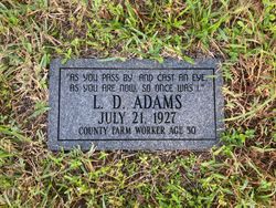 L. D. Adams 