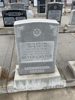 Meyer Cantor 