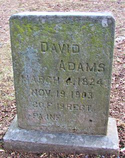 David Damon Adams 
