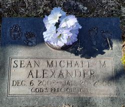 Sean Michael Alexander 