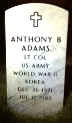 Anthony B Adams 
