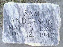 Sam Anderson 